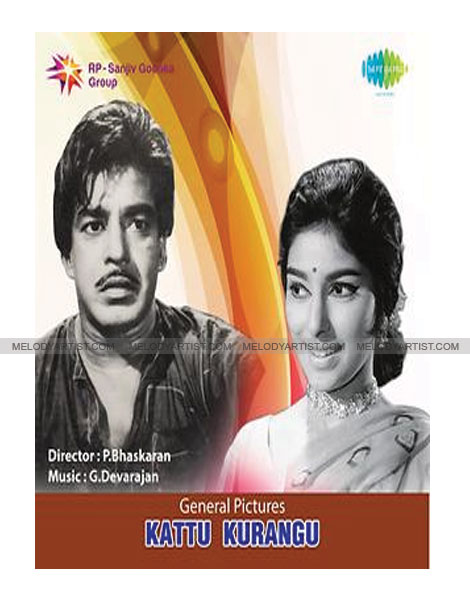 kattu-kurangu