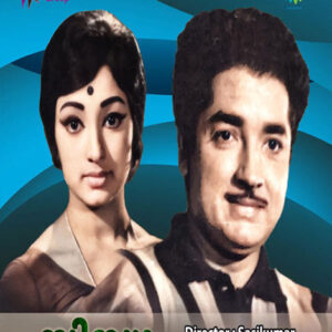 Thedi Thedi Njan Alanju HQ Karaoke