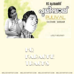 Paathiranakshathram Kannatachu HQ  Karaoke